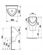 Pisuaras Jika Livo, vidiniu pajungimu, su sifonu