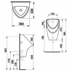 Pisuaras Jika Livo, vidiniu pajungimu, su sifonu