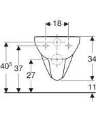 Pakabinamas unitazas Geberit Selnova Comfort, neįgaliesiems
