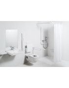 Pakabinamas unitazas Laufen Pro Liberty Rimless