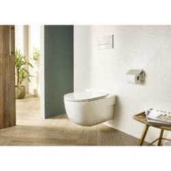 Pakabinamas unitazas Roca Inspira Round, horizontaliu nuotaku