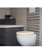 Unitazo sėdynė su dangčiu Villeroy&Boch Subway, Soft-Close