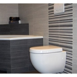 Unitazo sėdynė su dangčiu Villeroy&Boch Subway, Soft-Close