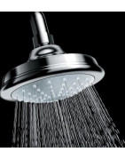 Dušo galva Grohe Euphoria Rustic 130, 1 srovės