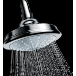 Dušo galva Grohe Euphoria Rustic 130, 1 srovės