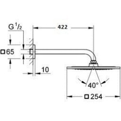 Dušo galva iš sienos Grohe Rainshower F-Series 10", 254x254 mm