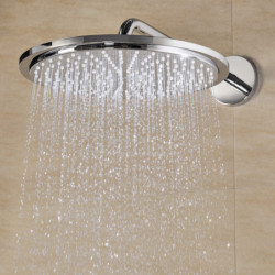 Dušo galva iš sienos Grohe Rainshower 310, su 422 mm alkūne
