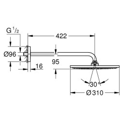 Dušo galva iš sienos Grohe Rainshower 310, su 422 mm alkūne