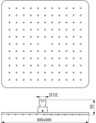 Dušo galva Ideal Standard IdealRain Cube L1, 300x300 mm