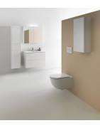 Spintelės ir praustuvo komplektas Laufen Pro S, baltas