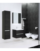 Praustuvo spintelė Kamė City 60, juodo ąžuolo spalvos