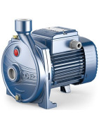 Sausai statomas horizontalus siurblys Pedrollo CP 230C 380V