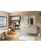 Elektrinis vandens šildytuvas Atlantic VERTIGO SILVER WiFi 100