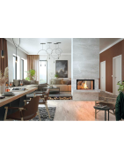 Plieninis židinio ugniakuras Spartherm Varia V-FD-87h, 13.8 kW