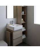 Praustuvas Laufen Val, 450x420 mm, stačiakampis