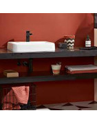 Praustuvas Villeroy&Boch Architectura, 550x430 mm, įleidžiamas