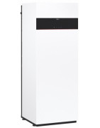 Dujinis katilas Viessmann Vitodens 222-F B2TF, 19 kW