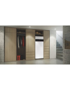 Dujinis katilas Viessmann Vitodens 222-F B2TF, 19 kW