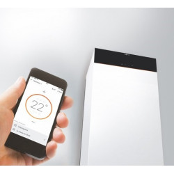 Dujinis katilas Viessmann Vitodens 222-F B2TF, 19 kW