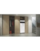 Dujinis katilas Viessmann Vitodens 222-F B2TF, 32 kW