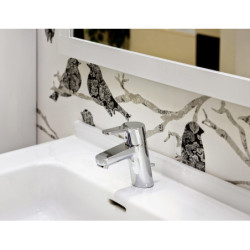 Praustuvo maišytuvas Oras Aquita 2911F, chromuotas