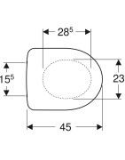Unitazo sėdynė su dangčiu Geberit Selnova, metaliniai vyriai
