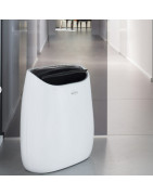 Oro šildytuvas-vėjelis Argo PETRA