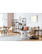 Oro drėkintuvas-valytuvas Boneco H320