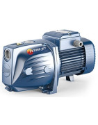 Sausai statomas horizontalus siurblys Pedrollo Future JETm2CX