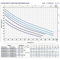 Sausai statomas horizontalus siurblys Pedrollo Future JETm2CX
