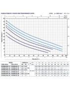 Sausai statomas horizontalus siurblys Pedrollo Future JETm2AX