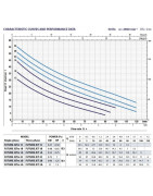 Sausai statomas horizontalus siurblys Pedrollo Future JET2B