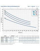 Sausai statomas horizontalus siurblys Pedrollo JCRm2CL 230V