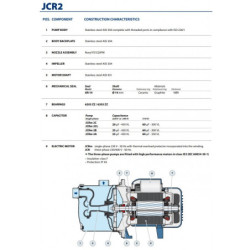 Sausai statomas horizontalus siurblys Pedrollo JCR2CL 400V