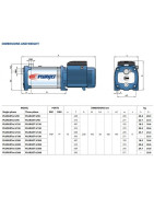 Daugiapakopis siurblys Pedrollo PLURIJET m6/200 230 V