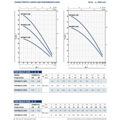 Panardinamas vandens siurblys šuliniams Pedrollo TOP MULTI 4 EVO