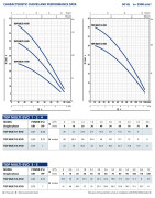 Panardinamas vandens siurblys šuliniams Pedrollo TOP MULTI 5 EVO