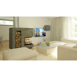 Plieninis židinio ugniakuras Schmid Ekko R 55(34)45h, 5 kW