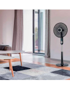 Ventiliatorius Electrolux EFF1004i, pastatomas, su stovu, juodas