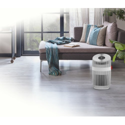 Oro valytuvas Boneco P230