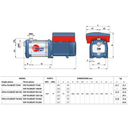 Vandens siurblys su inverteriu Pedrollo VSPm-PLURIJET 80/130