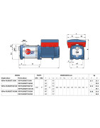 Vandens siurblys su inverteriu Pedrollo VSPm-PLURIJET 70/200