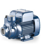 Sausai statomas horizontalus siurblys Pedrollo PKm60-MD 220V