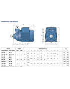 Sausai statomas horizontalus siurblys Pedrollo PKm60-MD 220V