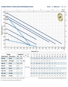 Sausai statomas horizontalus siurblys Pedrollo PK60-MD 400V