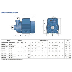 Sausai statomas horizontalus siurblys Pedrollo PK60-MD 400V