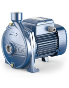 Sausai statomas horizontalus siurblys Pedrollo CPm 200 230V