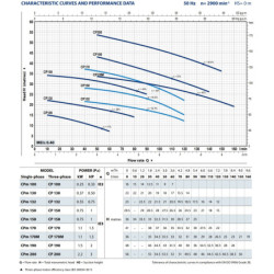 Sausai statomas horizontalus siurblys Pedrollo CPm 200 230V