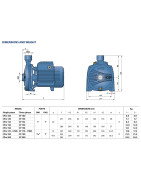 Sausai statomas horizontalus siurblys Pedrollo CPm 200 230V