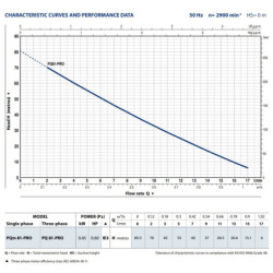 Sausai statomas horizontalus siurblys Pedrollo  PQ 81-PRO 400V